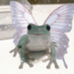 Meet your Posher, Anne